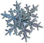 snowflake 39 lis